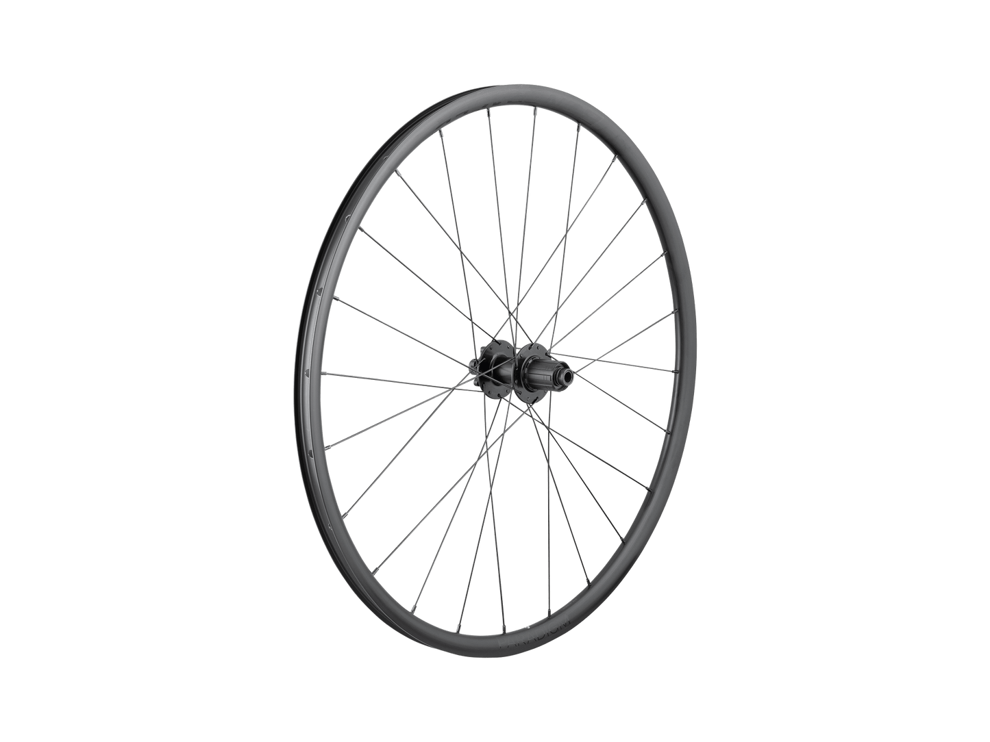 Bontrager Paradigm SL 6-Bolt Disc 24H 700c Road Wheel