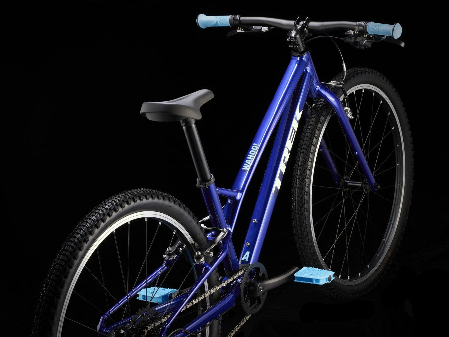 Trek Wahoo 26 Path Kids Bike