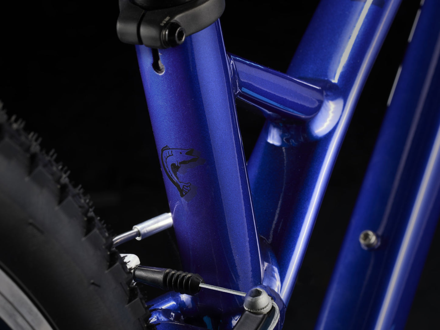 Trek Wahoo 26 Path Kids Bike