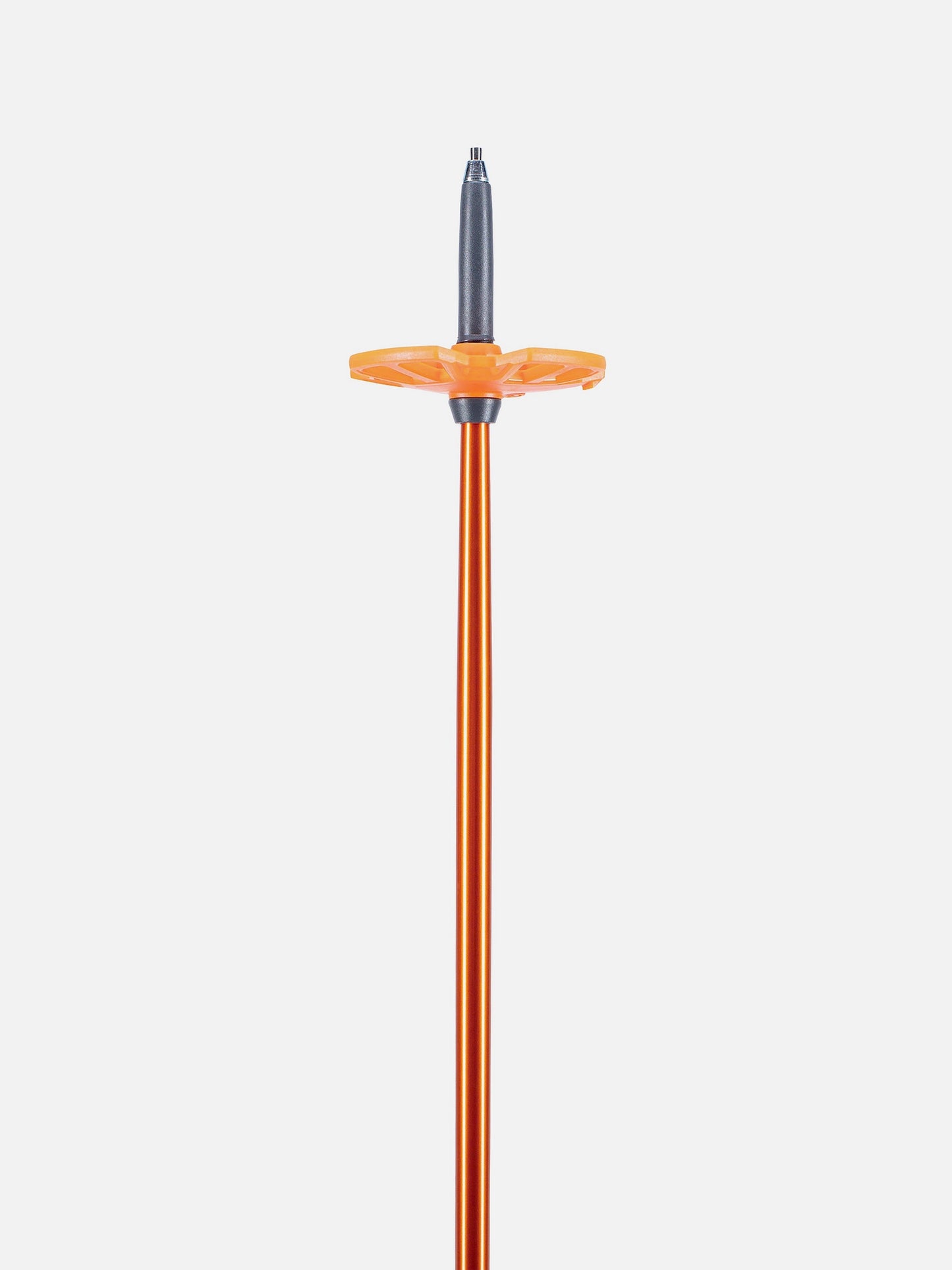 Backcountry Access Scepter Adjustable Aluminum Pole
