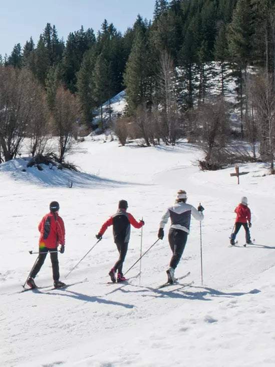 Madshus Active Skin Cross-Country Skis with Touring Automatic Bindings|Skis de Fond Skin Madshus Active avec des fixations Touring Automatic