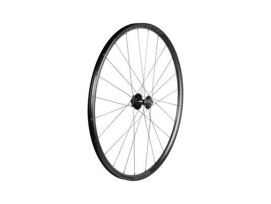 Bontrager Paradigm SL 6-Bolt Disc 24H 700c Road Wheel