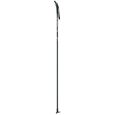 Bâton Swix FOCUS NORDIC